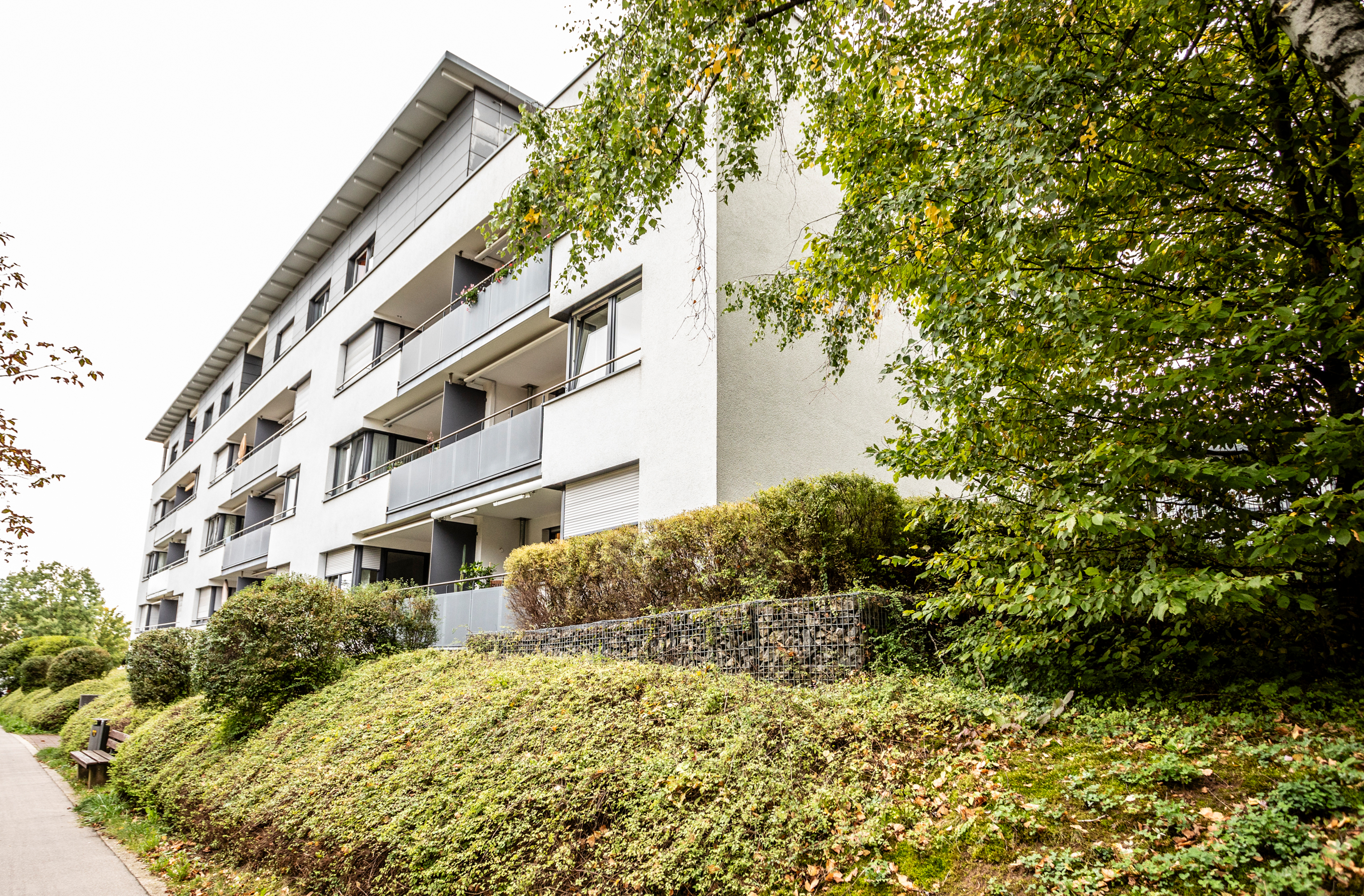 Haus 6
